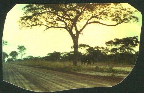 rhodesia road to kazangula